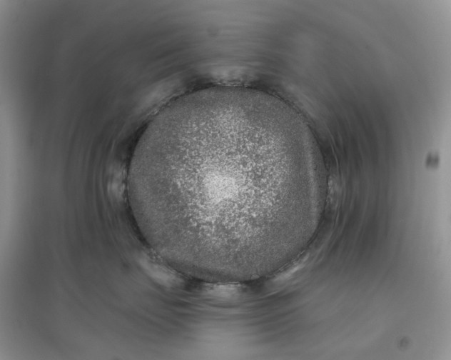 X0000097650671200803142111