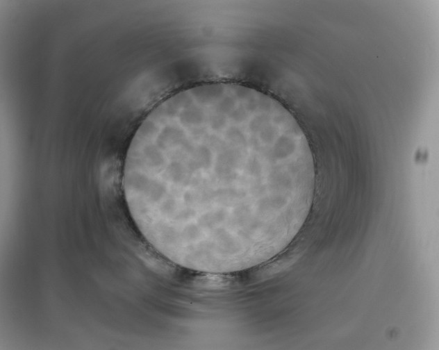 X0000097650672200803142111