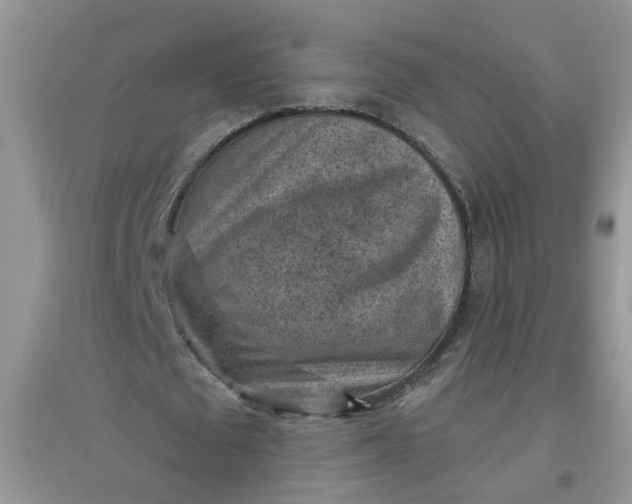 X0000097650673200803142110