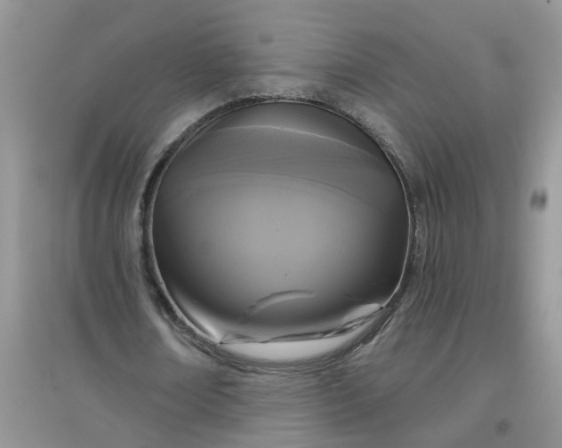 X0000097650674200803142110