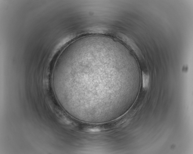 X0000097650675200803142110