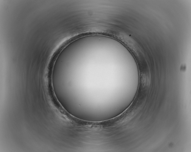 X0000097650676200803142110