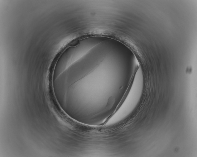 X0000097650678200803142110