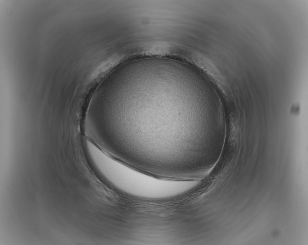 X0000097650681200803142110