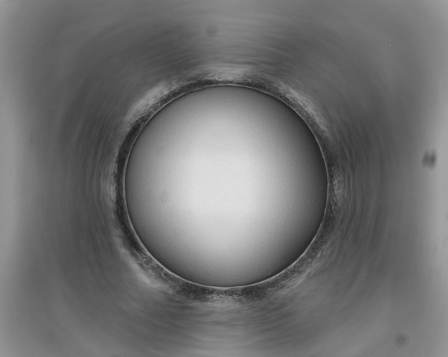 X0000097650682200803142110