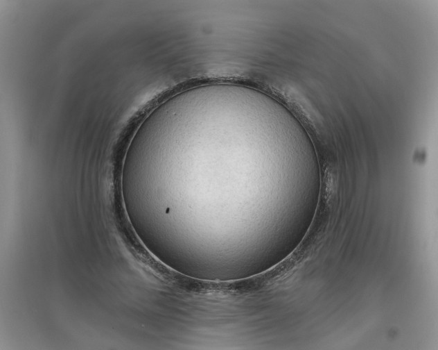 X0000097650684200803142110