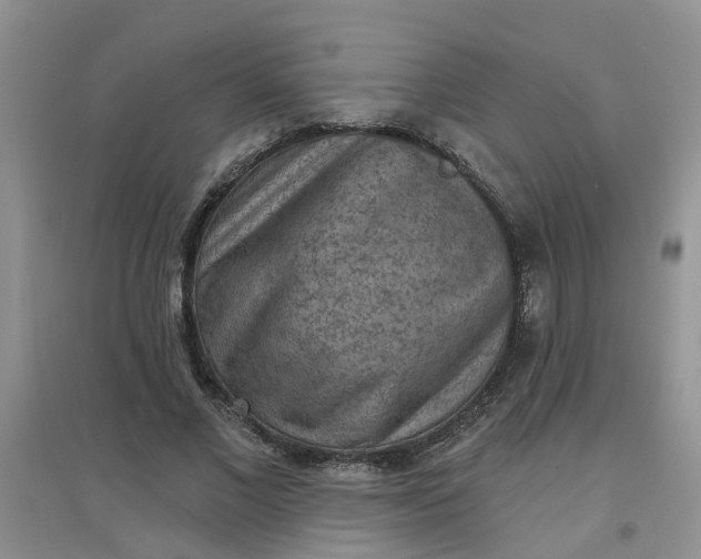 X0000097650685200803142110