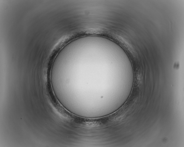 X0000097650686200803142110