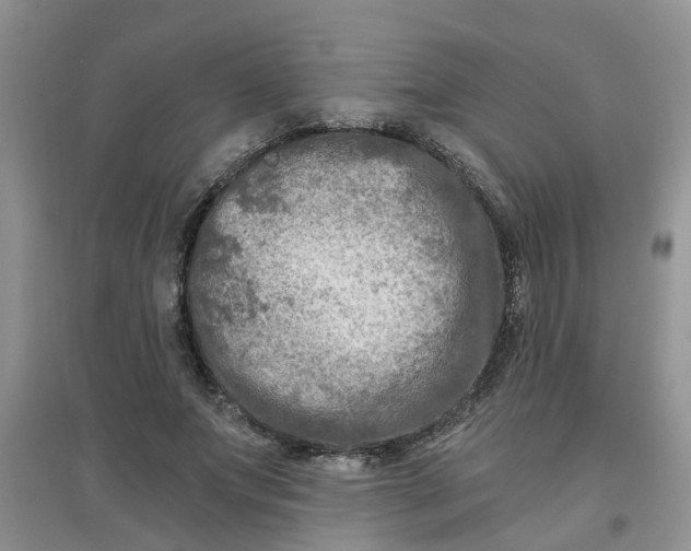 X0000097650687200803142110