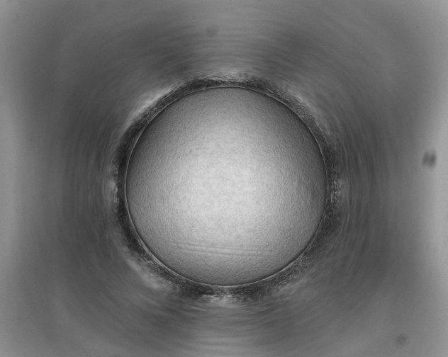 X0000097650688200803142110