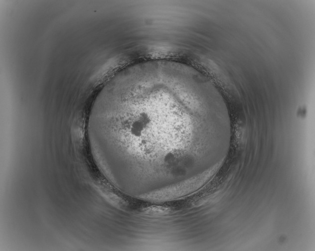 X0000097650691200803142110