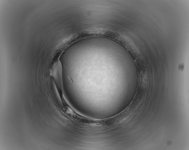 X0000097650692200803142110