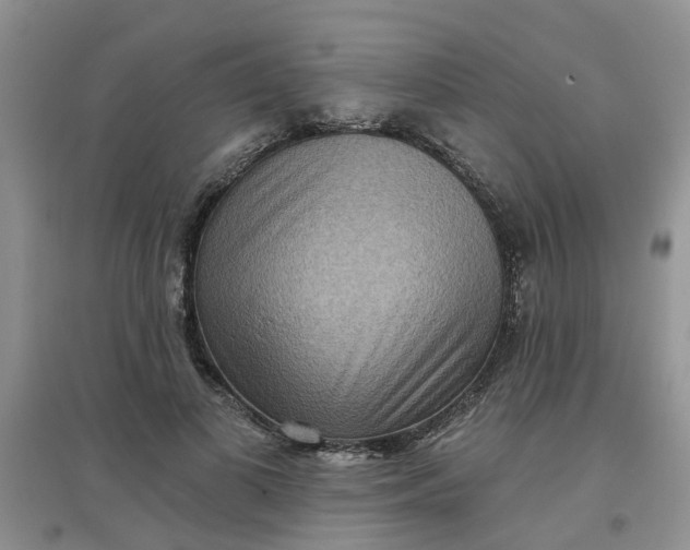 X0000097650693200803142110