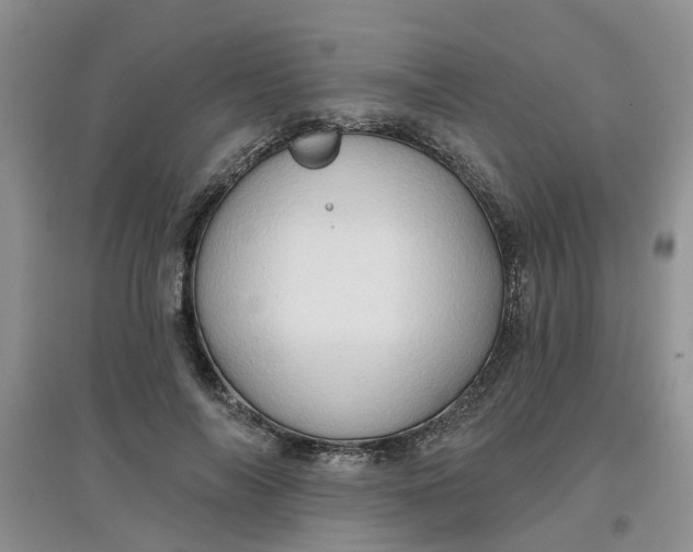 X0000097650694200803142110