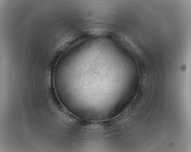 X0000097650696200803142110