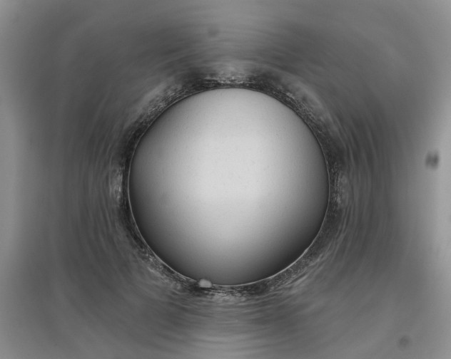 X0000097650697200803142110