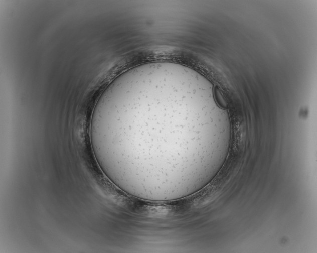 X0000097650698200803142110