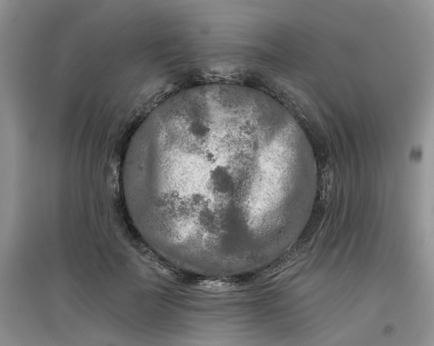 X0000097650699200803142110