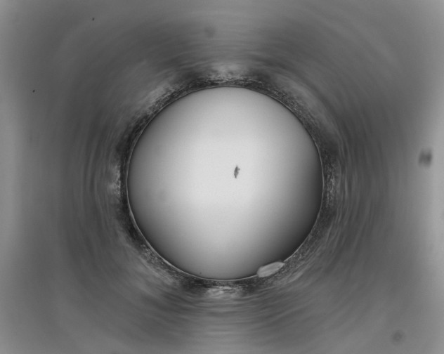 X0000097650700200803142110