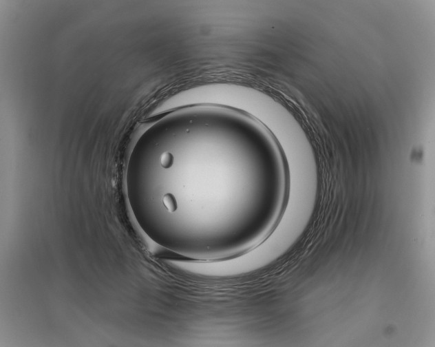 X0000097650701200803142110