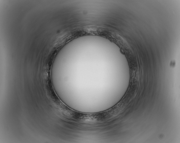 X0000097650702200803142110