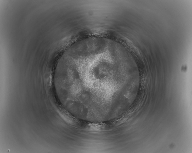 X0000097650703200803142110