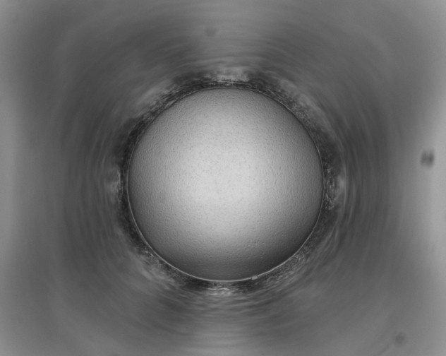 X0000097650704200803142110