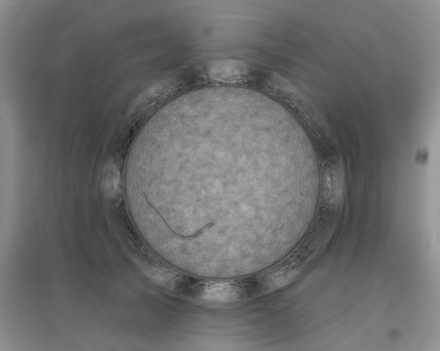 X0000097650705200803142110