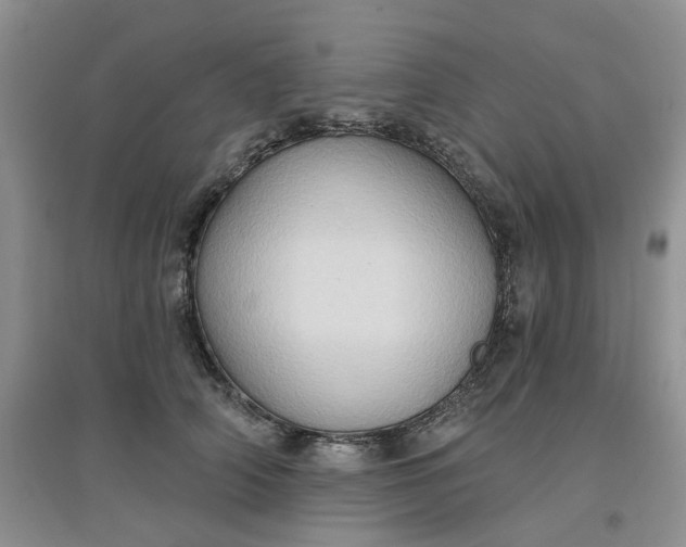 X0000097650706200803142110