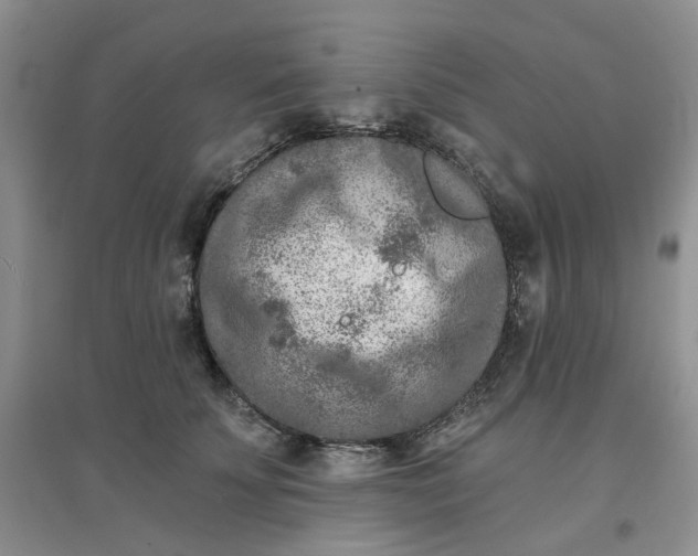 X0000097650707200803142110