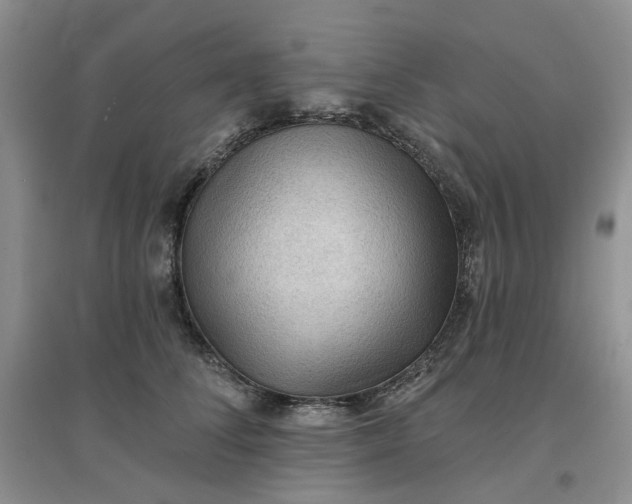 X0000097650708200803142110