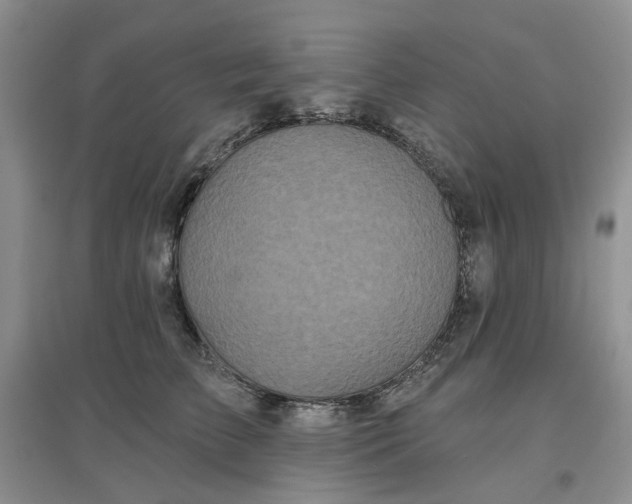 X0000097650709200803142110