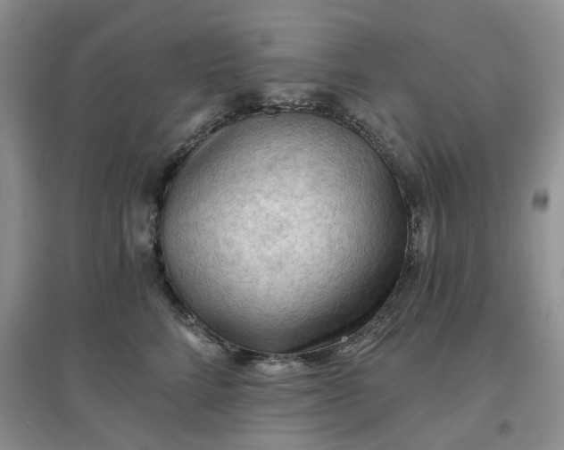 X0000097650712200803142110