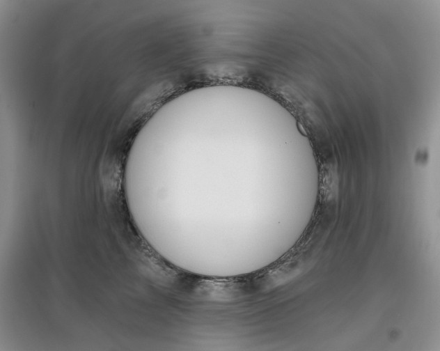 X0000097650713200803142110