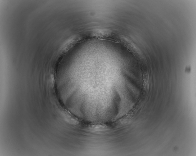 X0000097650716200803142110