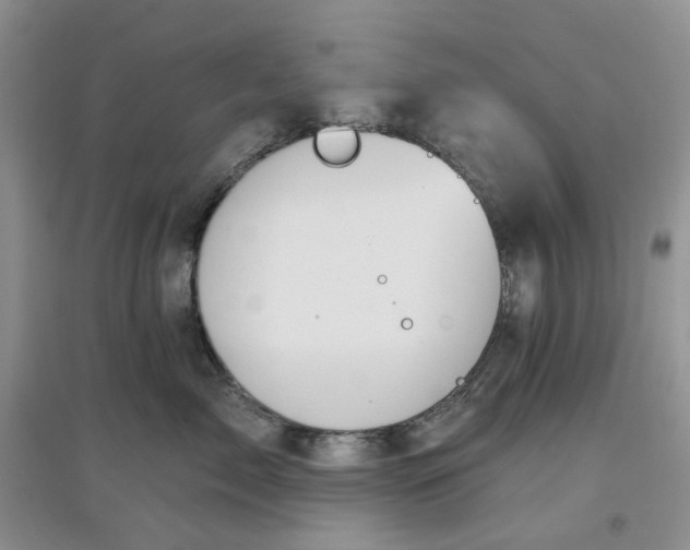 X0000097650717200803142110