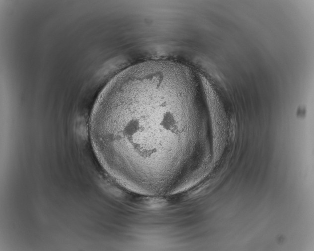 X0000097650719200803142110