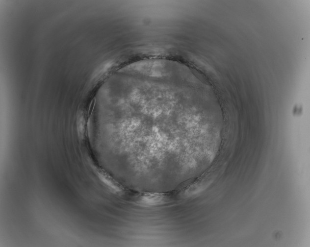 X0000097650720200803142110