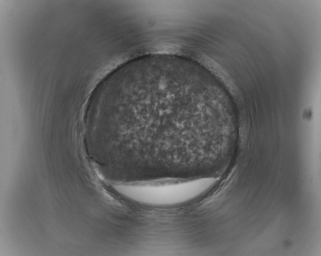 X0000097650721200803142109