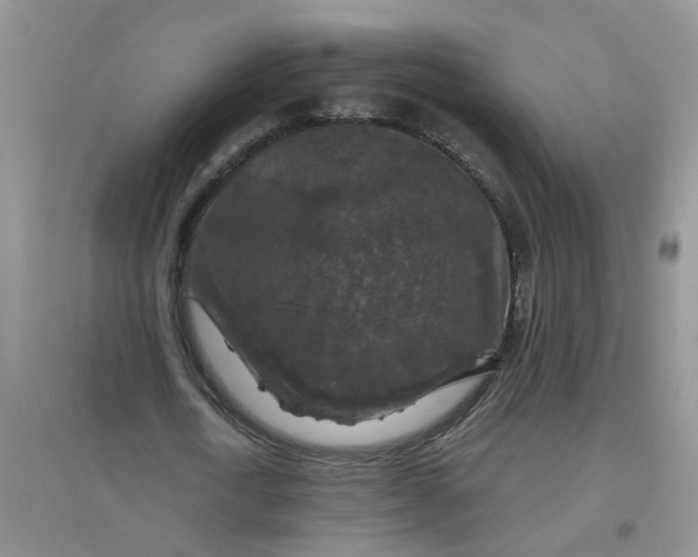 X0000097650722200803142109