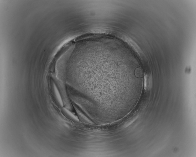 X0000097650723200803142109