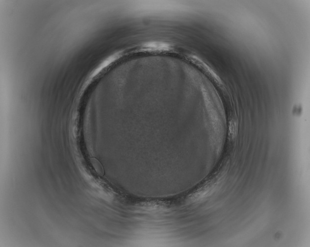 X0000097650724200803142109