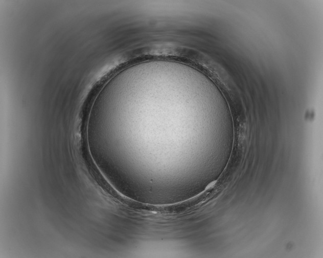 X0000097650727200803142109