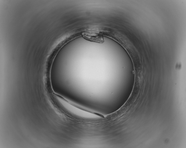 X0000097650728200803142109