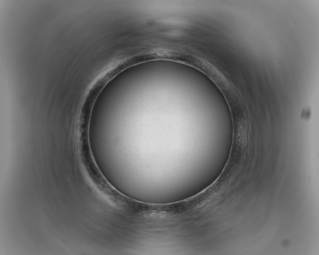 X0000097650730200803142109