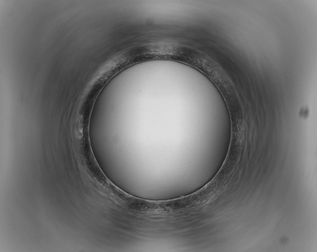 X0000097650731200803142109