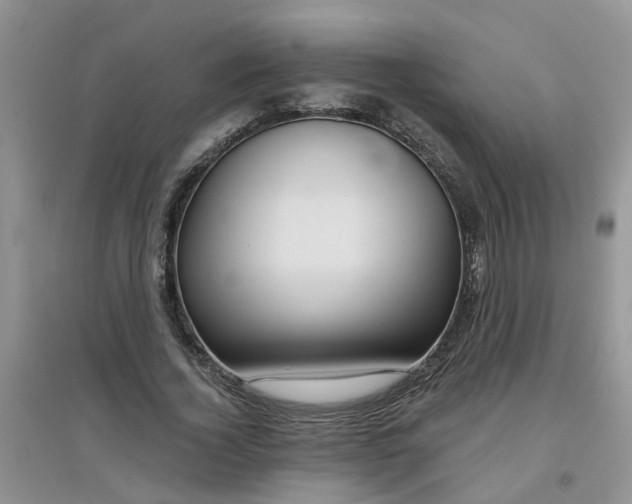 X0000097650732200803142109