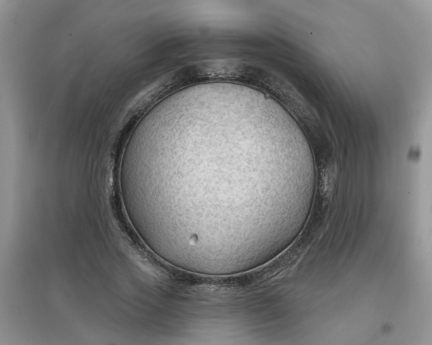 X0000097650733200803142109