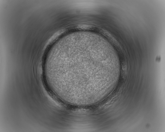 X0000097650734200803142109