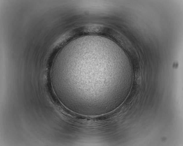 X0000097650735200803142109